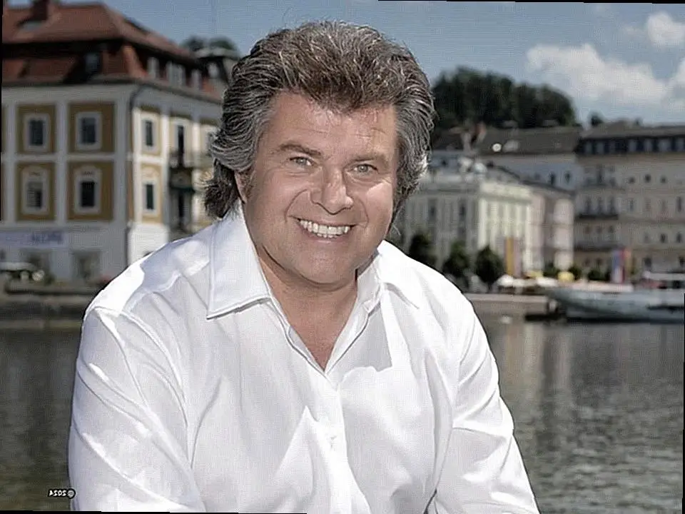 Andy Borg Vermögen