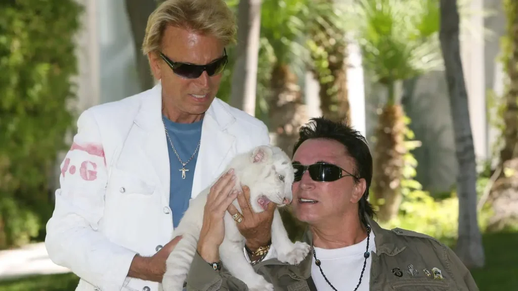 Siegfried und Roy Vermögen