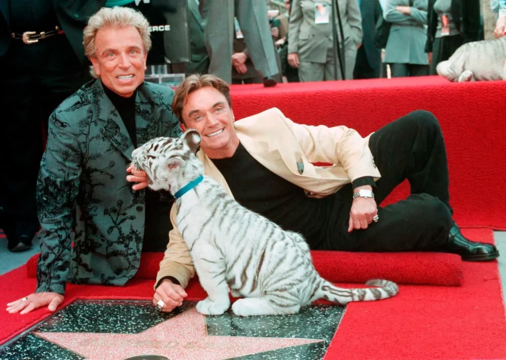 Vermögen Siegfried und Roy  Vermögen